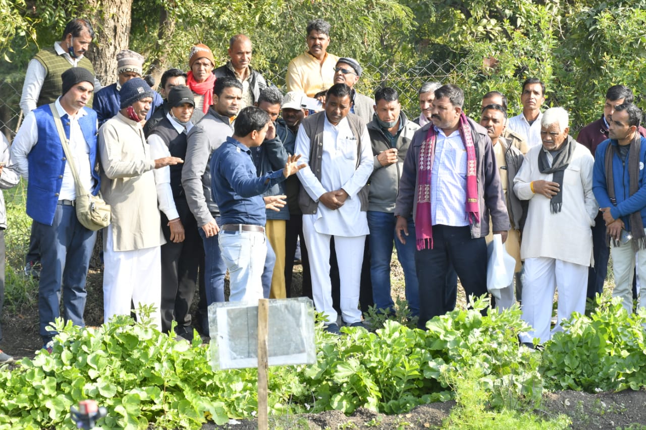 युवा इंजीनियर ने बनाया “कृषि गुरुकुल”